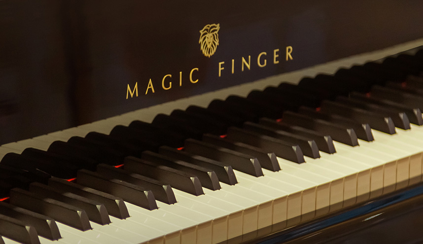 Оборудование пианино - кабинетов